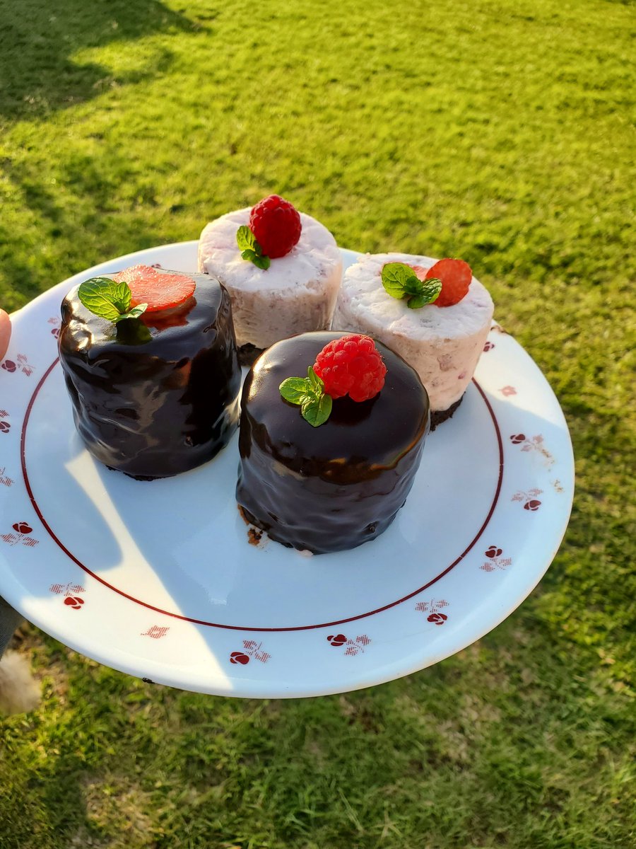 DelightsOlga's tweet photo. I finally had a go at making some petit fours. 😊

Chocolate sponge base topped with strawberry crèam bavaroise and some with a chocolate glaze finish. 😊😋

#OlgasExperiments https://t.co/LyHAE413AI