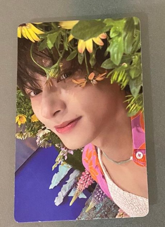 Seventeen Repackage Sector 17 Target SEVENTEEN sector 17 target