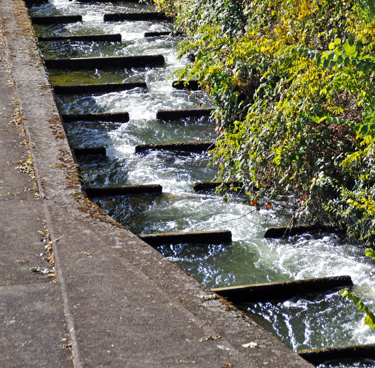 HillhouseGrady's tweet image. Some dams, low water crossings, culverts, and navigation locks have these interesting structures of cascading flow. Can you NAME THAT INFRASTRUCTURE? Read the 🧵 for the answer.
#EngineeringInPlainSight