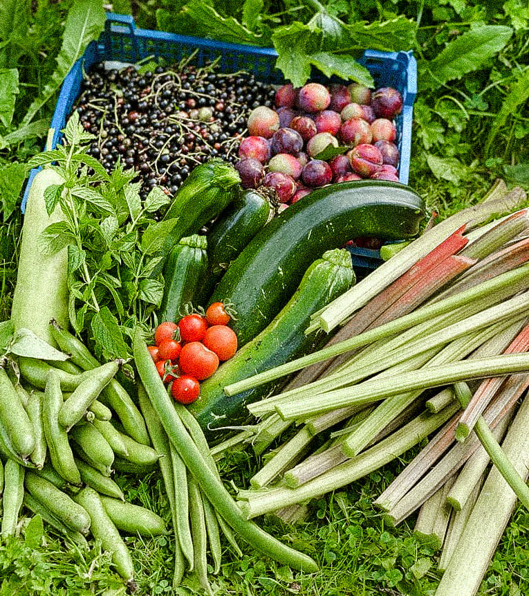 We've been gathering our seasonal produce from the garden, and we just couldn't resist sharing these amazing goodies! We’re so proud of our talented chefs and their passion for using locally sourced produce.