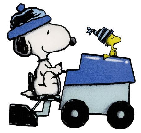 Billingham Junior Stars tweet media