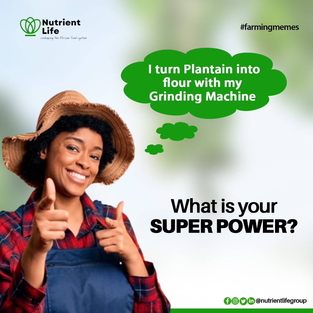 NutrientlifeG's tweet photo. I just did that🤭
So what's your superpower?
Tell us in the comment below.
•••
#farmingbusiness
#superpower
#farmingmemes
#agriculturalmemes
#plantainflour https://t.co/qVg2zicerT