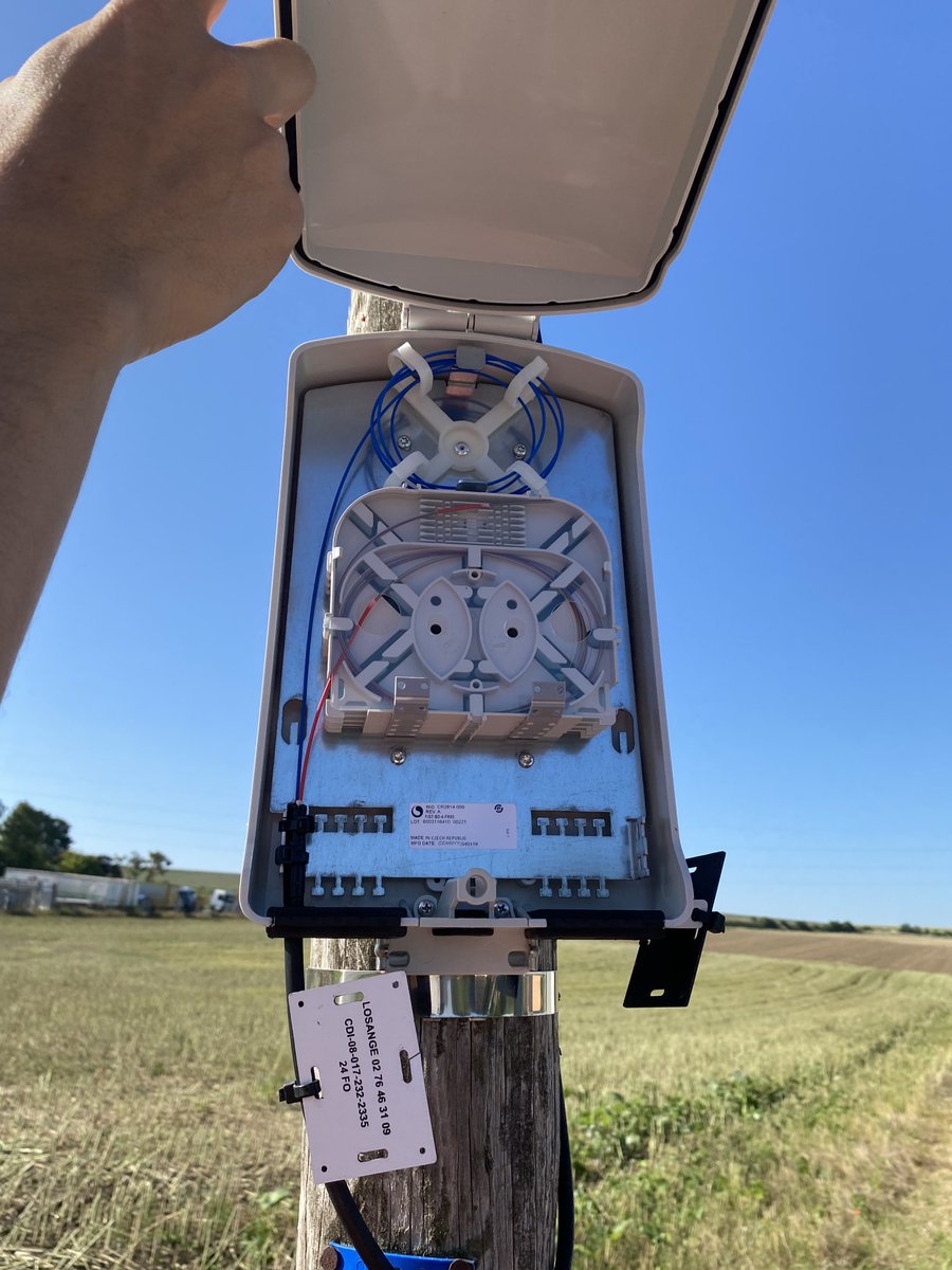 LosangeFibre tweet media