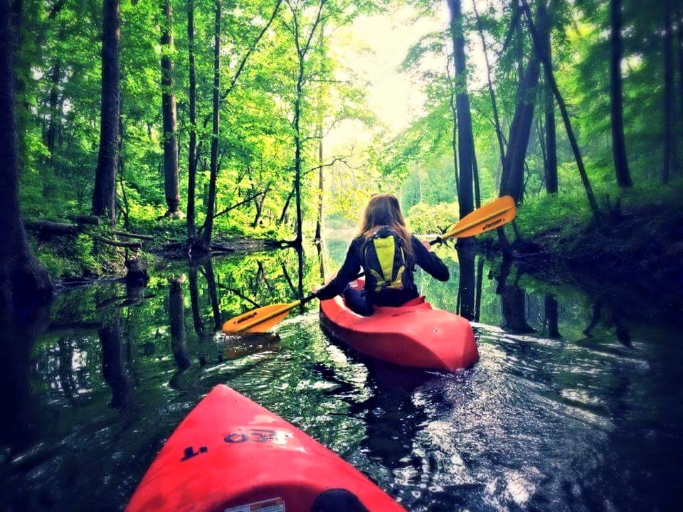 visitnoble's tweet photo. Chain O Lakes State Park's 9 Lake Challenge challenges you to paddle 5 miles across the park through nine connected lakes. Enjoy the natural landscape from the unique vantage point of your boat TODAY! #ChainOLakes #StatePark #DNR #InIndiana #VisitNobleCounty #Paddle #Conoe #Kayak https://t.co/HgG5lM2qRu