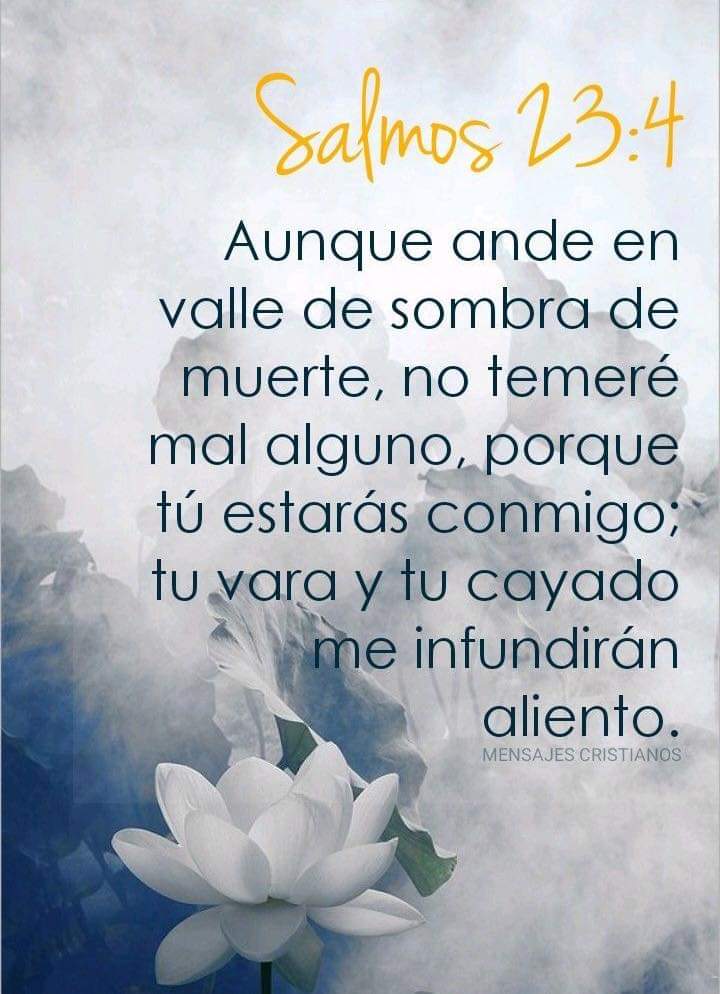 Maco_Rodas's tweet photo. 🙌 https://t.co/plYp2QO9B6