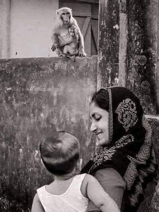 UrduVirsa's tweet photo. مُجِھے خُدا  سے  بہت  خوف  آتا  رہتا تھا
تو پِھر کسی نے بتایا وہ مَاں کے جیسا ہے https://t.co/XFTJsxJ7Ih