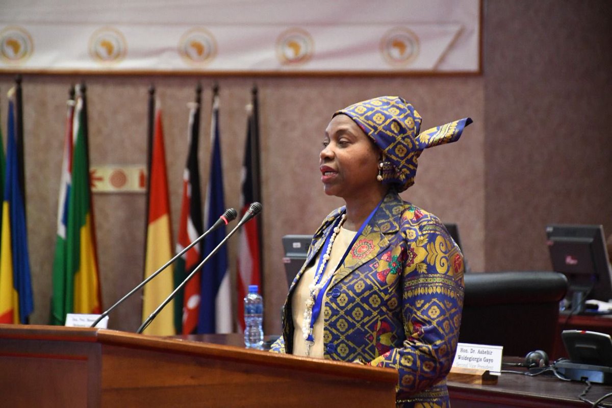 AfrikParliament's tweet photo. Hon. Dr Litha Ogana,@ACHPR Commissioner addresses @AfrikParliament Strategic Reorientation Workshop on the role of the ACHPR and how the PAP can reinvent itself to effectively contribute to the promotion of Human Rights on the continent. #PAPCommittees https://t.co/SxEKXyczWo