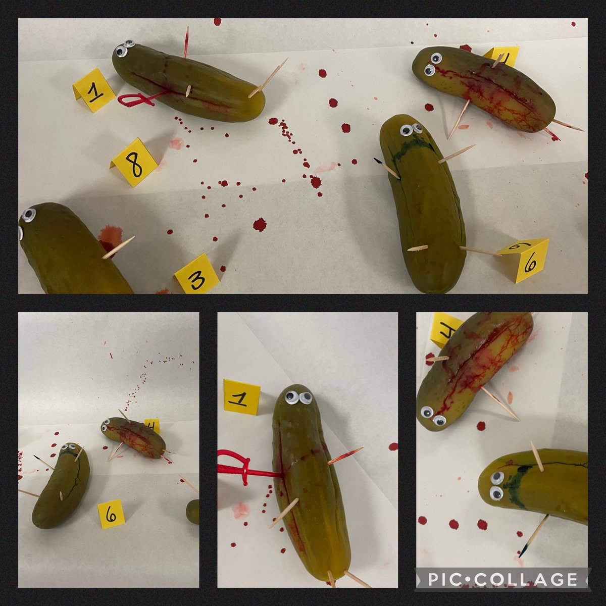 SHolliman7's tweet photo. Dill pickle autopsies in A&amp;P!@Cen10titans #Titanslearn https://t.co/MdNt9t08I6