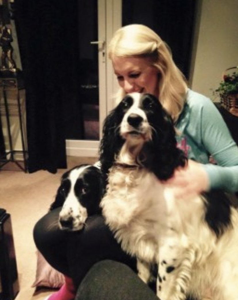 rosieDoc2's tweet photo. #SpanielHour 

BARNEY still not home since 9/5/17 FIVE YEARS  💔 Male #EnglishSpringerSpaniel Blk&amp;wh adult CHIPPED 
Went missing on a walk Eagley Cricket Club, #EAGLEY, #BOLTON #BL7 
BARNEY was a timid boy...where’d he go 😓

https://t.co/LvFtdCydCh

@bs2510 @VetsGetScanning https://t.co/82RdX14j6h