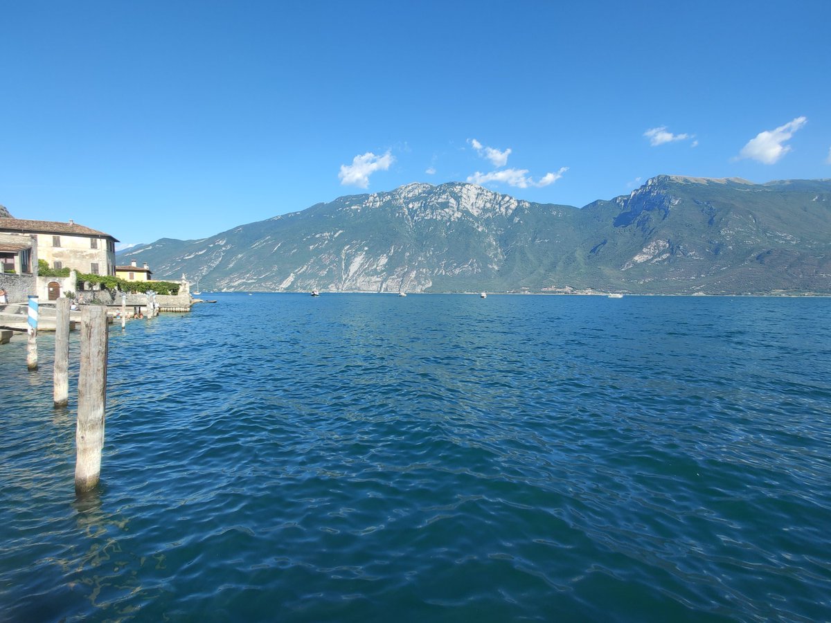 Mark Boundy tweet media