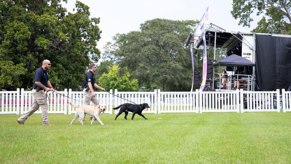 🦮👮 Starting this semester, you may see more UAPD K-9 units sniffing around campus buildings. The proactive building sweeps are useful training tools for the dogs and handlers. When on patrol, it may look like a normal walk but they are hard at work.

➡️news.ua.edu/2022/08/sniffi…