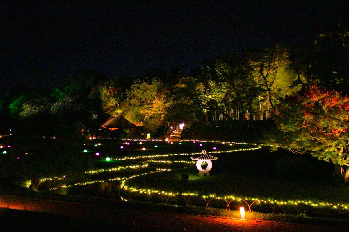 tomoki70369999's tweet photo. 幻想庭園綺麗すぎた😊😊 https://t.co/ok4DloH8eT
