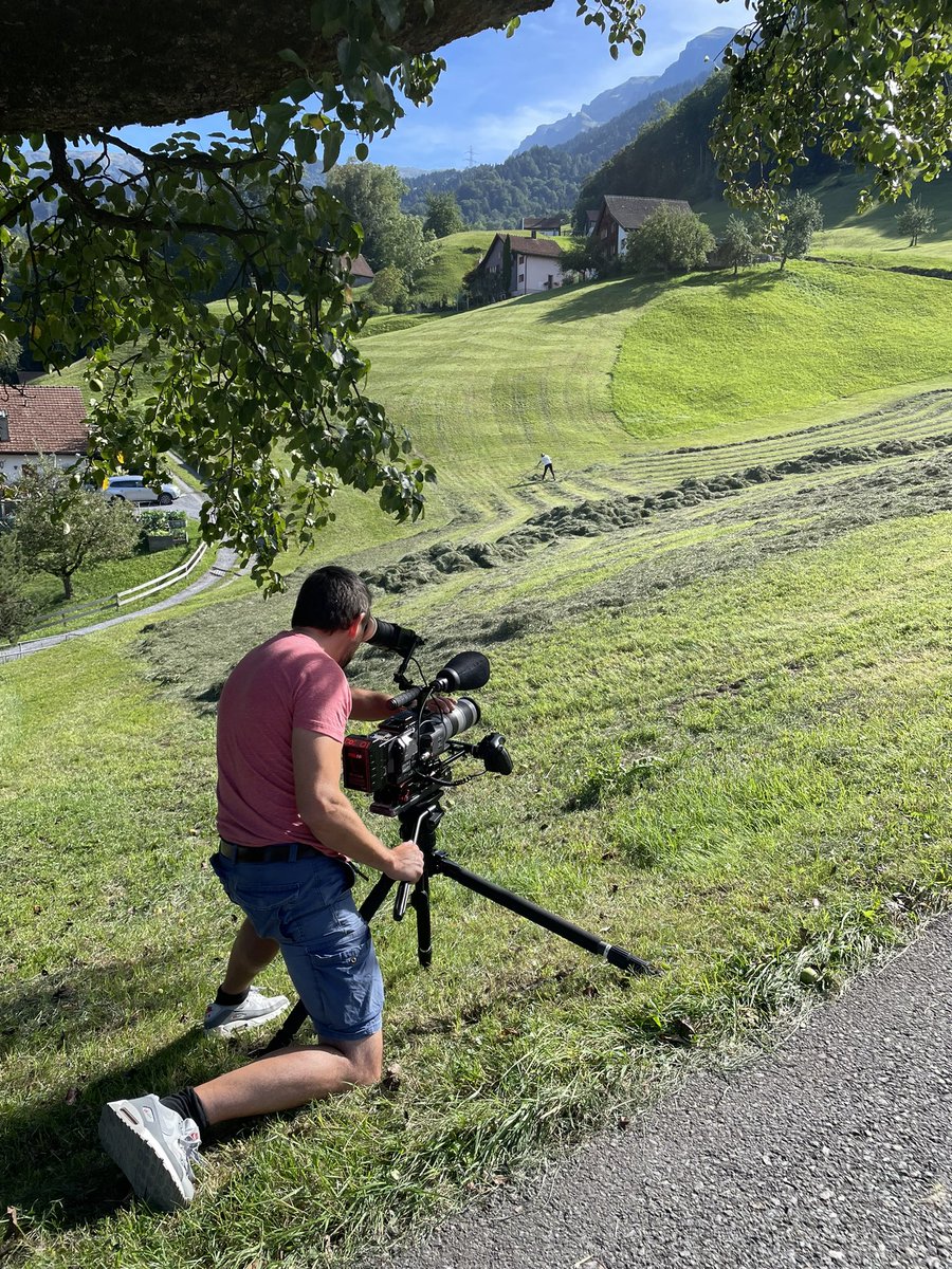 Shongo Films tweet media