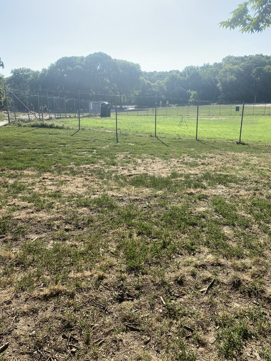 inorle's tweet photo. grass is greener on the other side https://t.co/dRc2fwyEGb