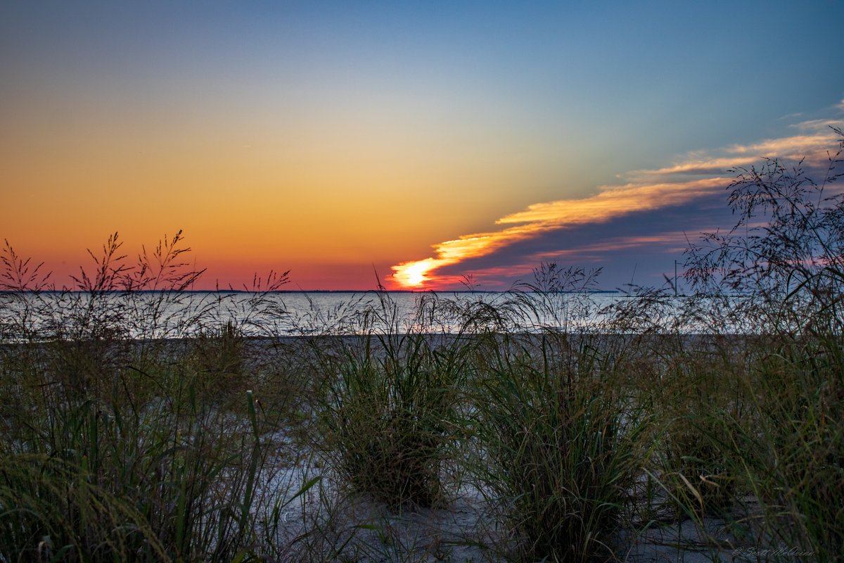 scottmcquinn1's tweet image. Great morning for a beach workout @ Sunrise. Beat the heat and get up and be productive on this Hump Day! @TuckerFox5 @ClaireFox5DC @ErinFox5DC @AyeshaKhanNews @fox5dc @SOMDWxNews
