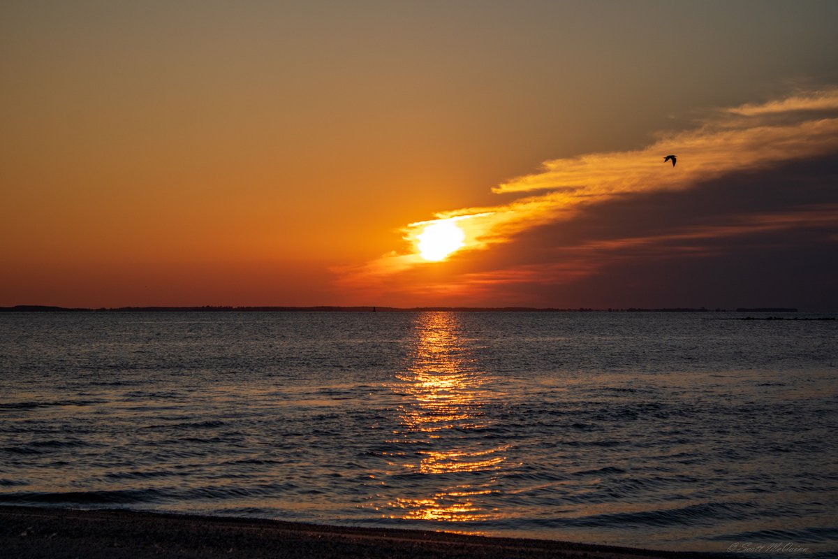 scottmcquinn1's tweet image. Great morning for a beach workout @ Sunrise. Beat the heat and get up and be productive on this Hump Day! @TuckerFox5 @ClaireFox5DC @ErinFox5DC @AyeshaKhanNews @fox5dc @SOMDWxNews