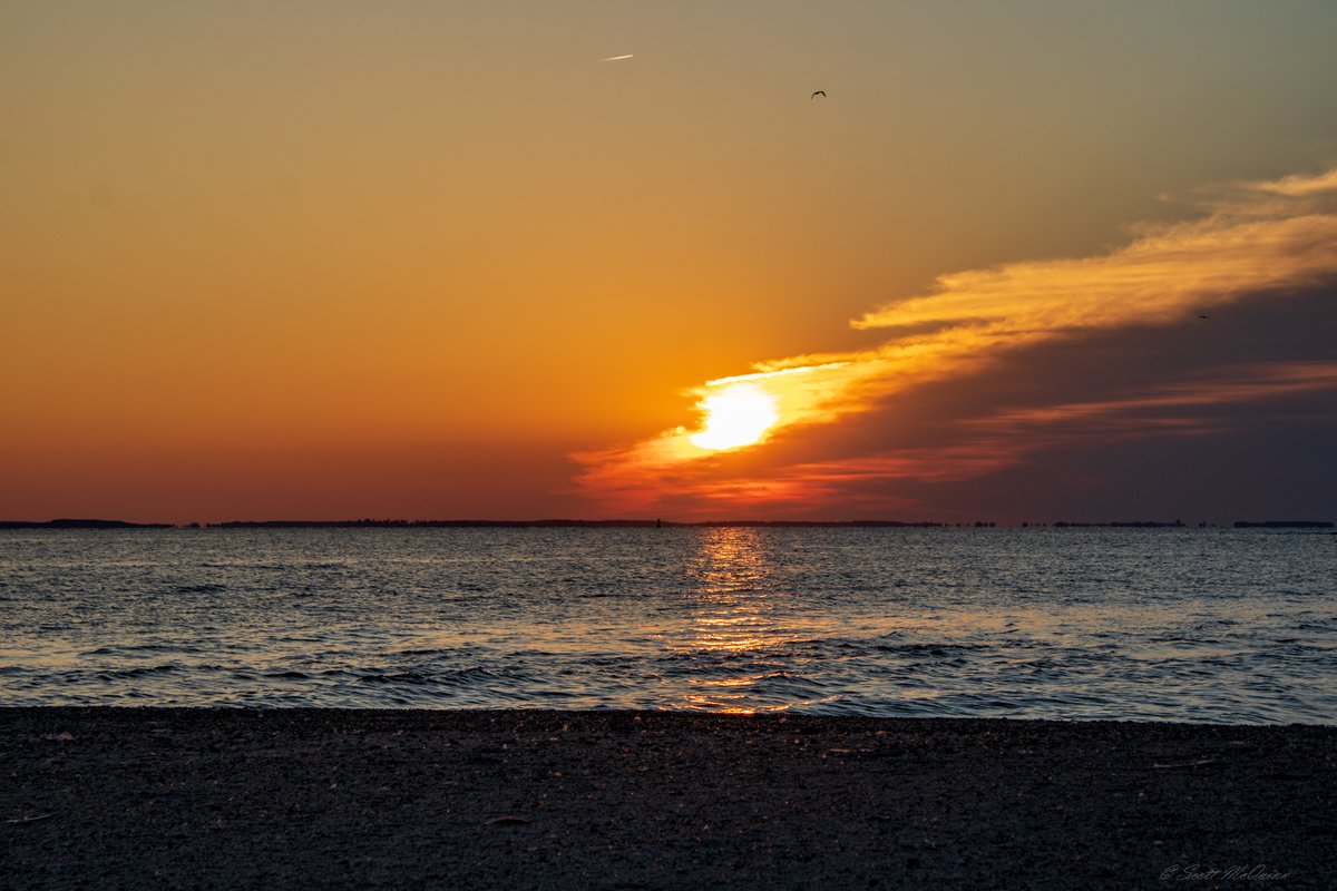 scottmcquinn1's tweet image. Great morning for a beach workout @ Sunrise. Beat the heat and get up and be productive on this Hump Day! @TuckerFox5 @ClaireFox5DC @ErinFox5DC @AyeshaKhanNews @fox5dc @SOMDWxNews