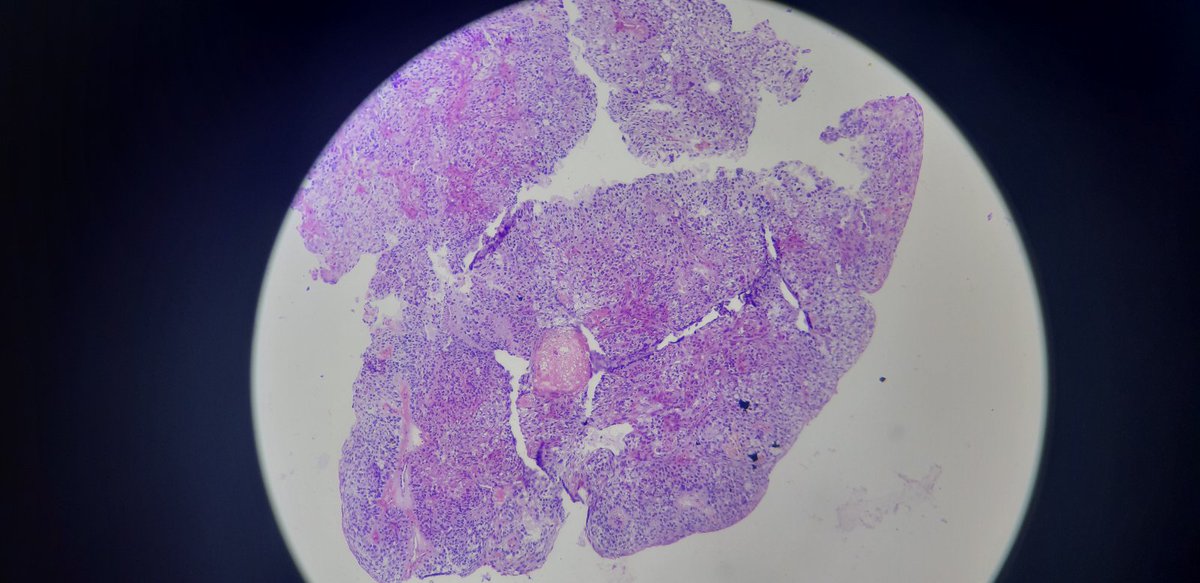 PathDiff tweet picture