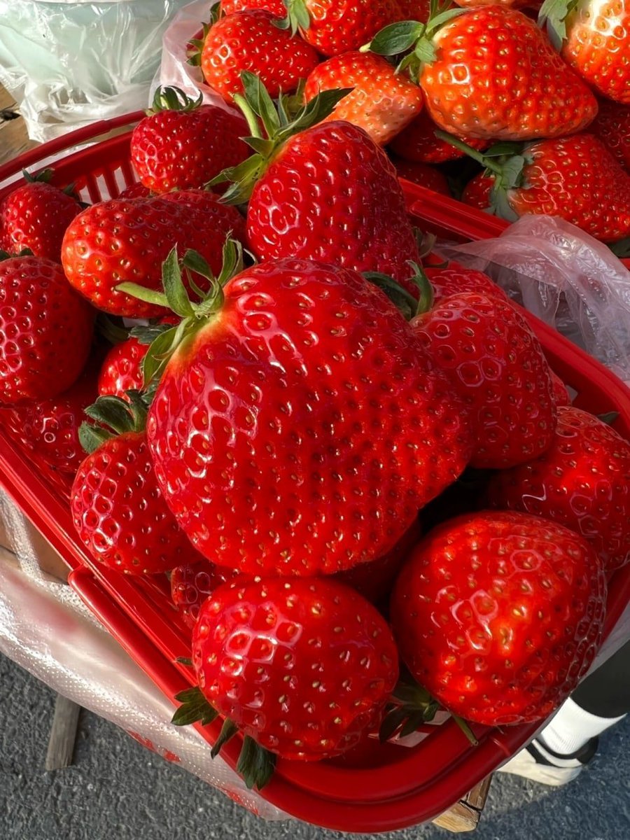 pepsras's tweet photo. The strawberry is me, I am the strawberry🤣 https://t.co/mvpcENPlx3