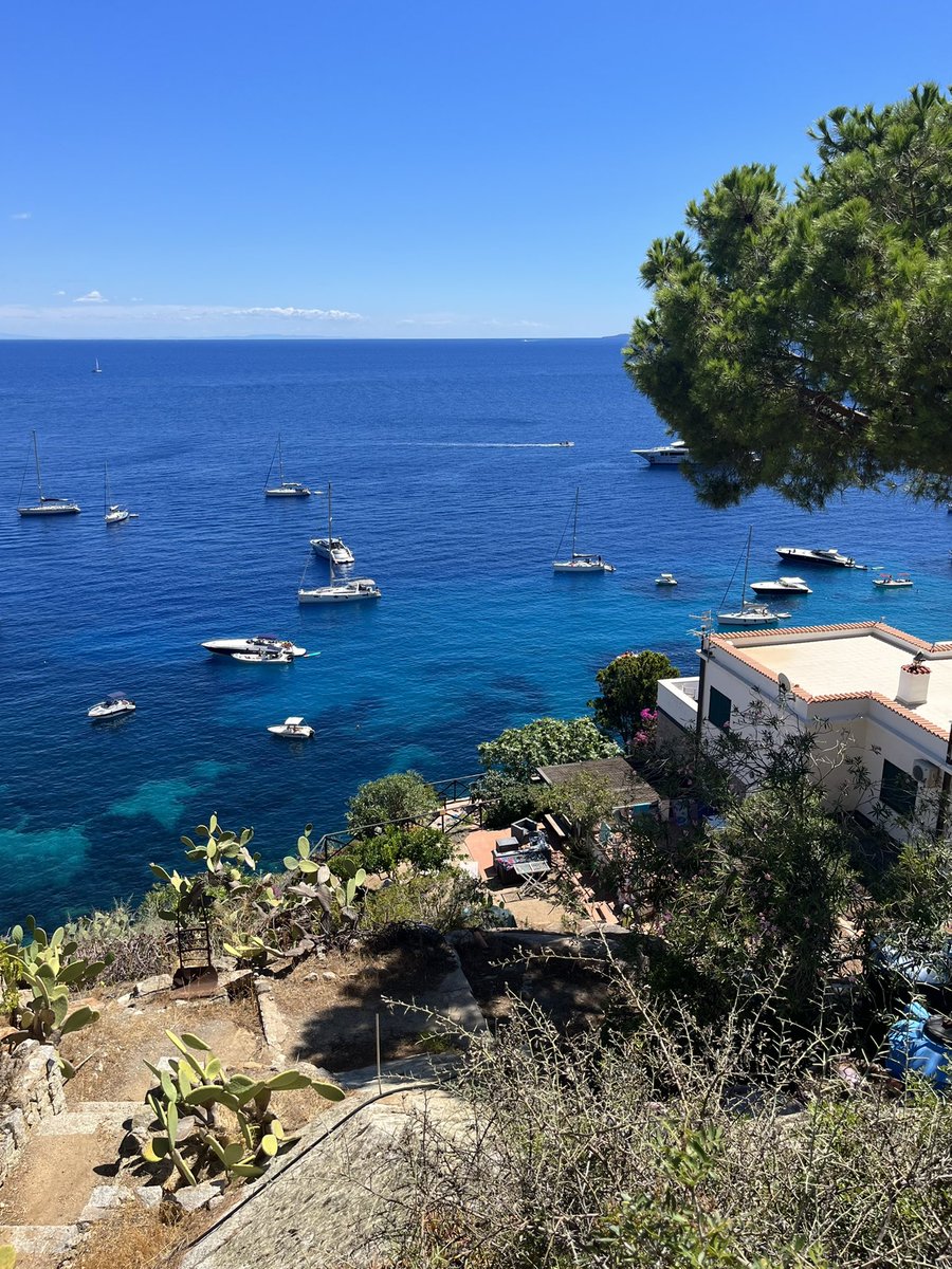 Emilio Vanni tweet media