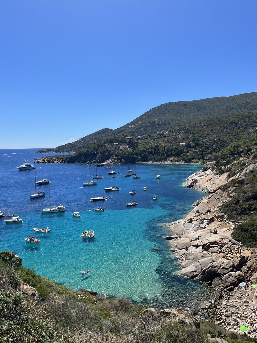 Emilio Vanni tweet media