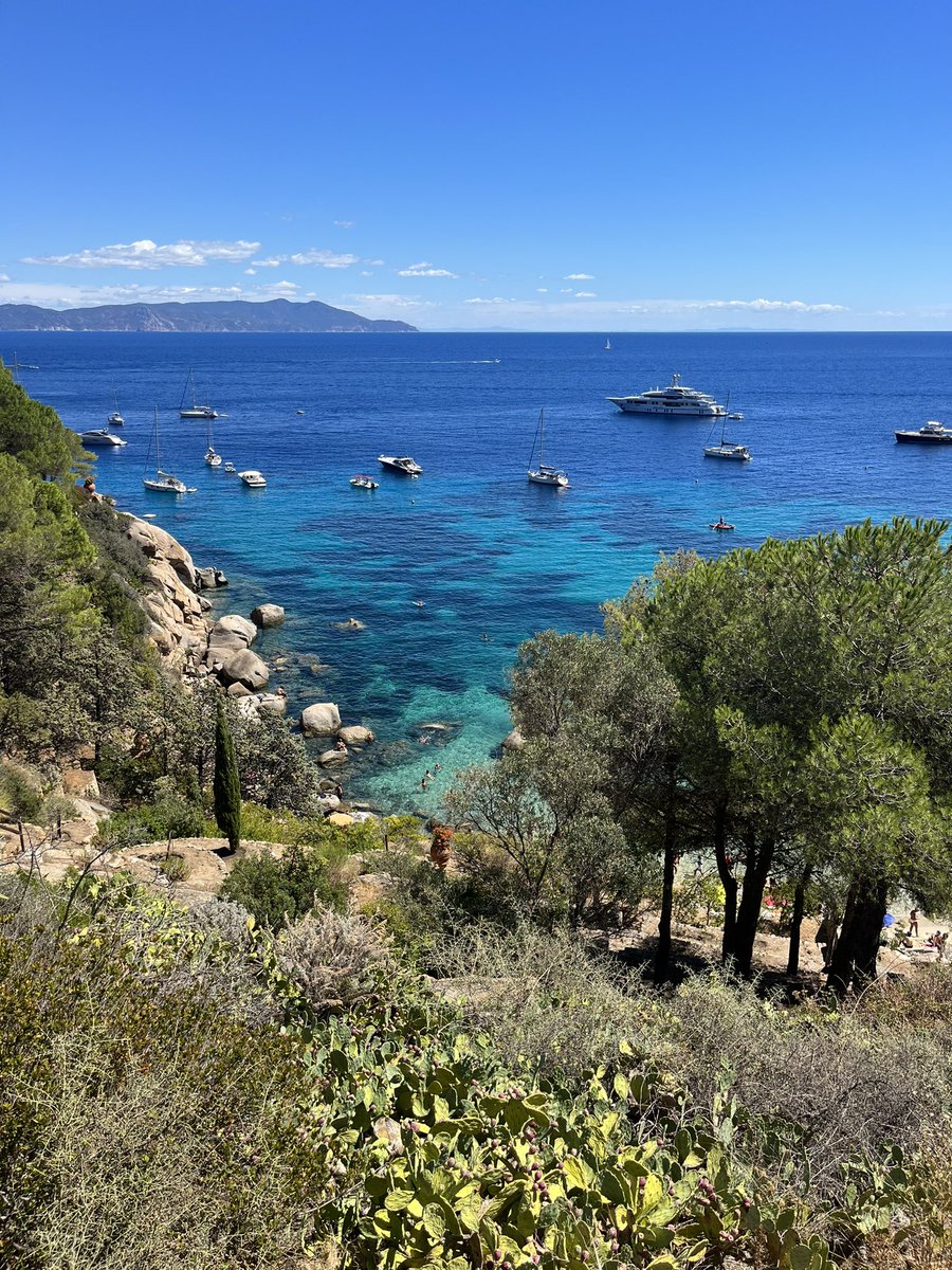 Emilio Vanni tweet media