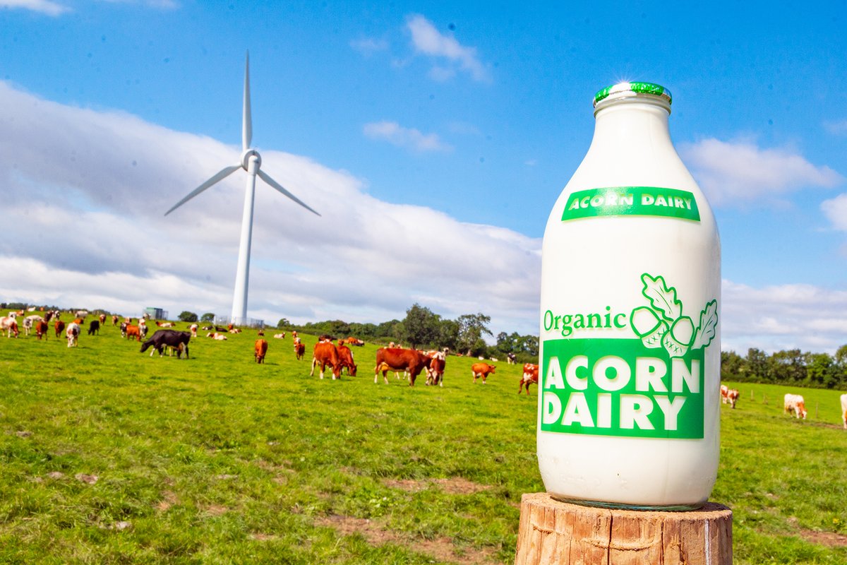 We’re always looking for ways to be more sustainable, which is why we made the switch to glass milk bottles.

Not only are the bottles returnable and reusable, but they also save you bin space! 

acorndairy.co.uk 

#Sustainability #NorthEast