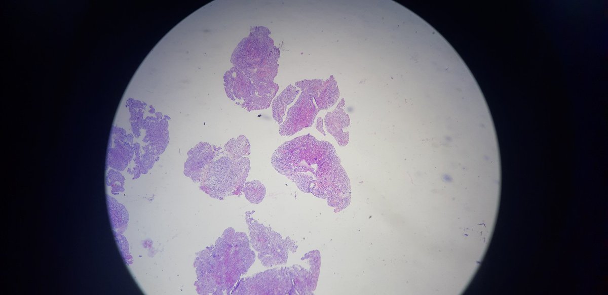 PathDiff tweet picture