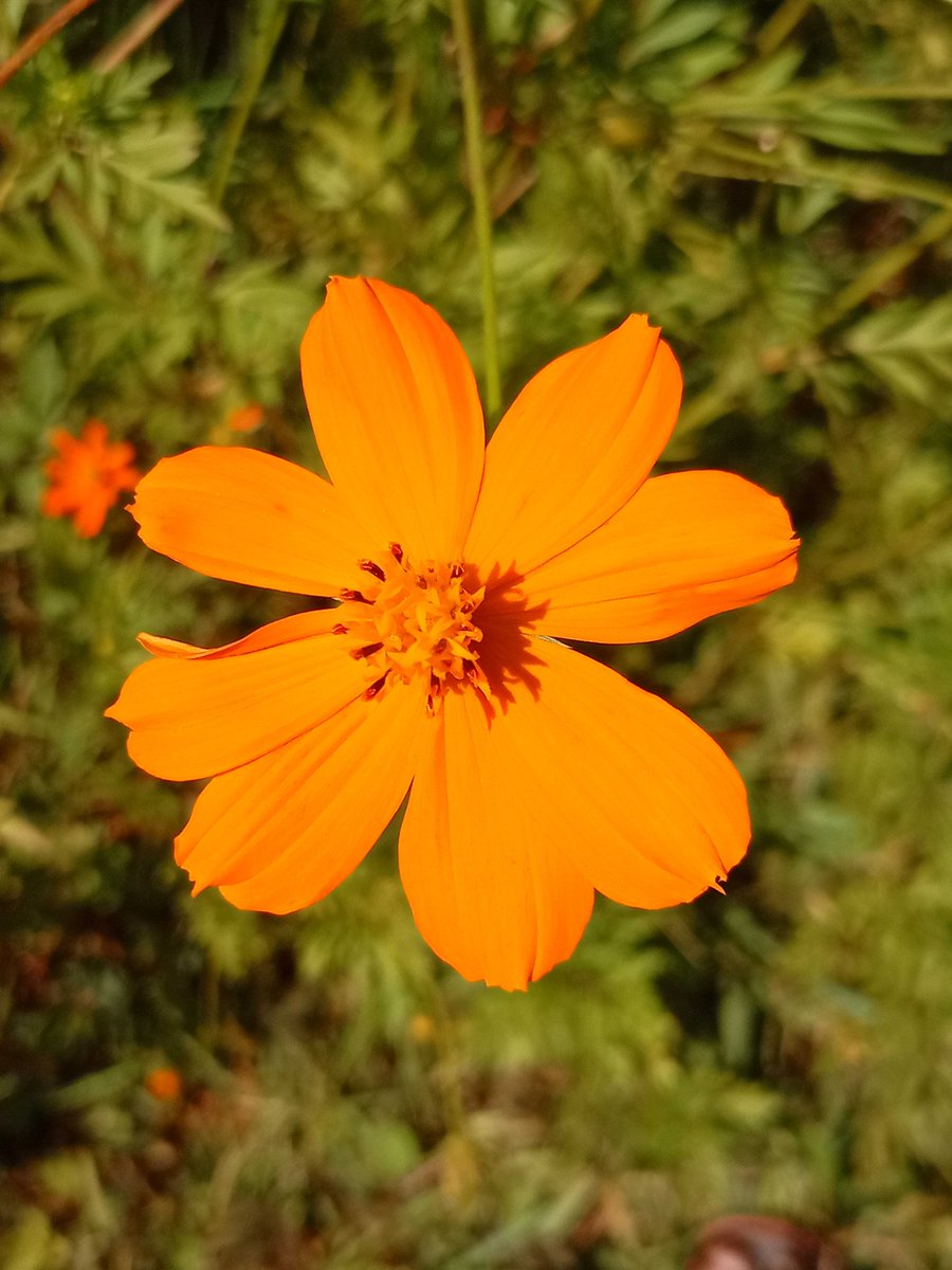 kijana_ya_Macha's tweet photo. #CAMissionSn3 unedited.
@TECNOMobile254 https://t.co/jxyjjBLNsO