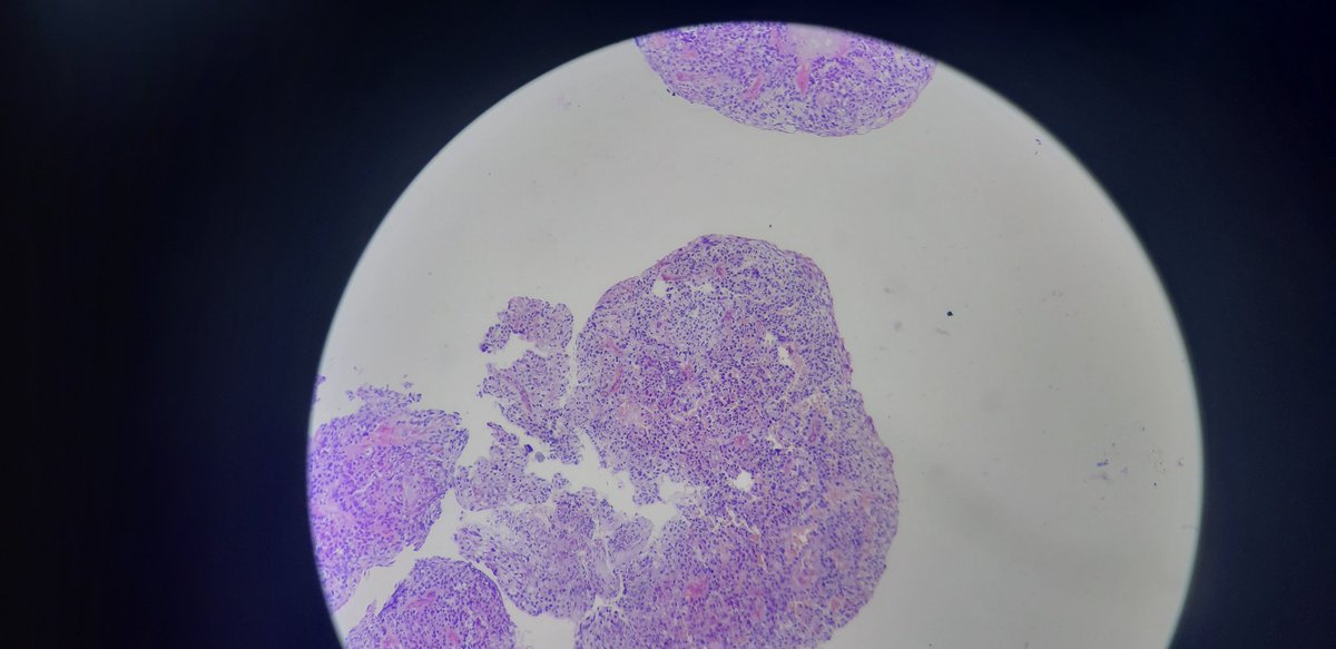 PathDiff tweet picture