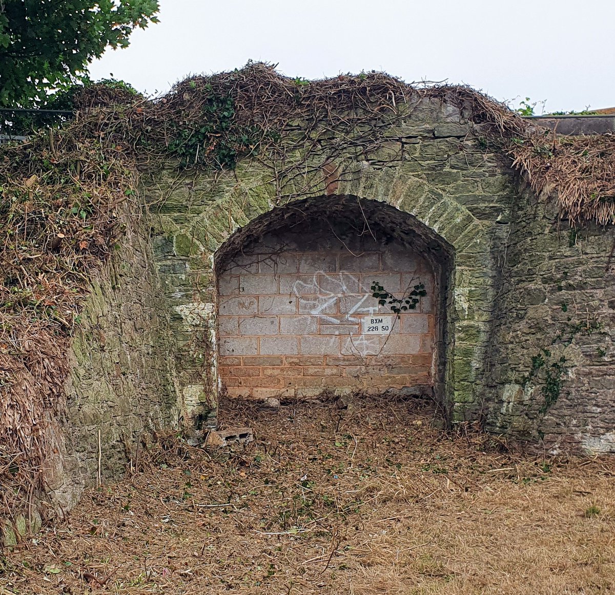 mikemorey17's tweet photo. Clearance of overgrown vegetation above Sun Valley Park has focused attention back on the old bridge that  served the Brixham to Churston Railway Line https://t.co/pUWP9iYWIs