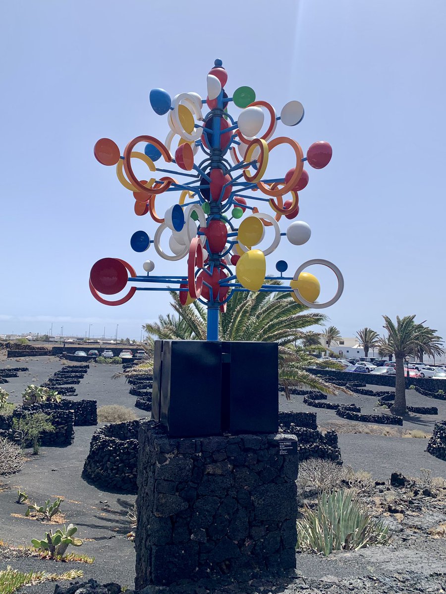 AnaCarolMorgan's tweet photo. Tierra de contrastes. Preciosa como siempre. Lanzarote🌴🌋✨ https://t.co/13JThBcB3Q