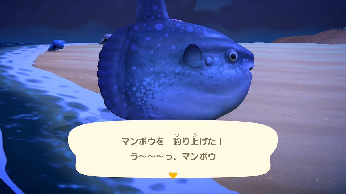 be___happyhappy's tweet photo. 釣れたwww
#あつ森 https://t.co/Fph3GKIe72