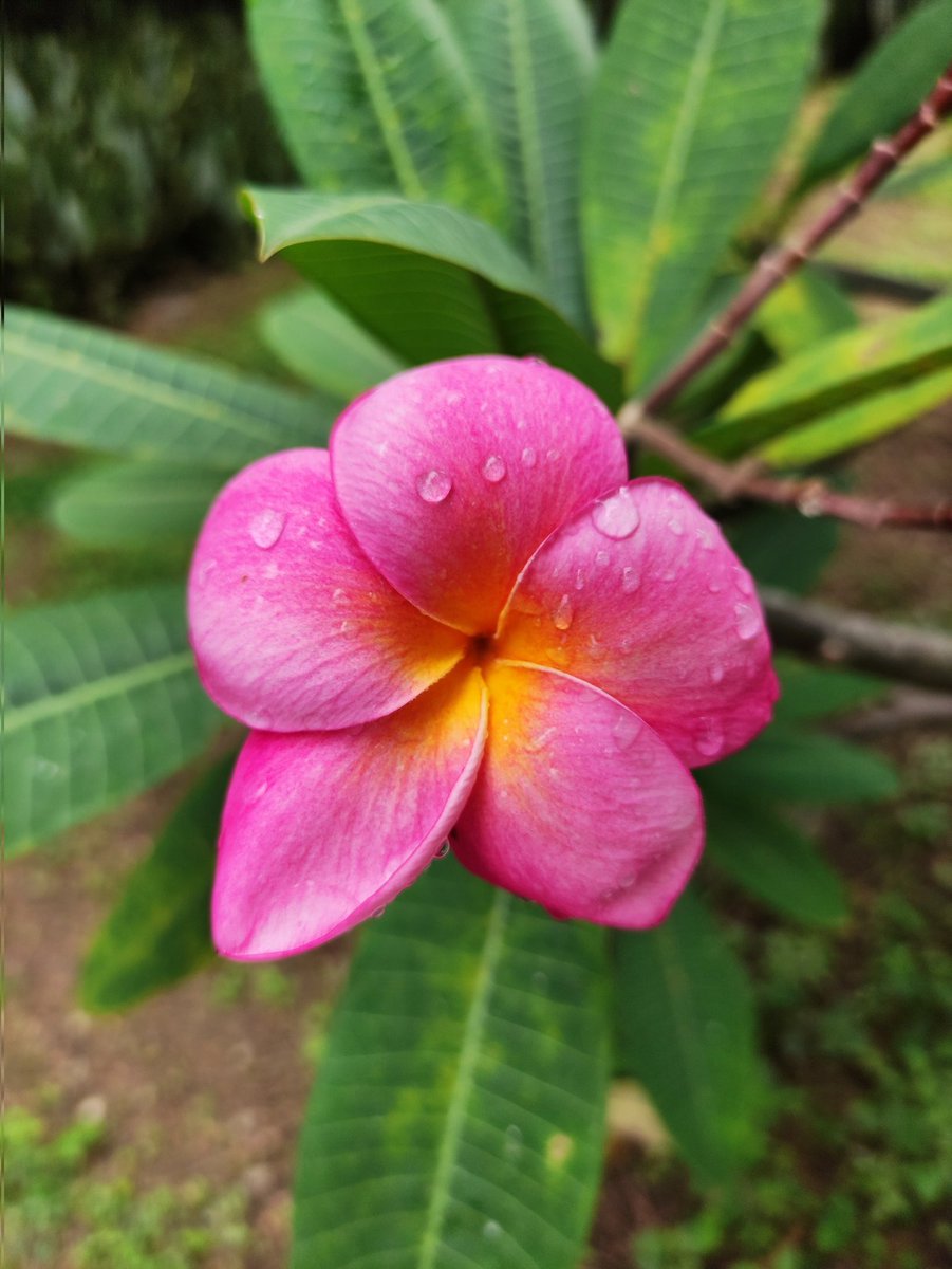 Buenos días a todos 🥰