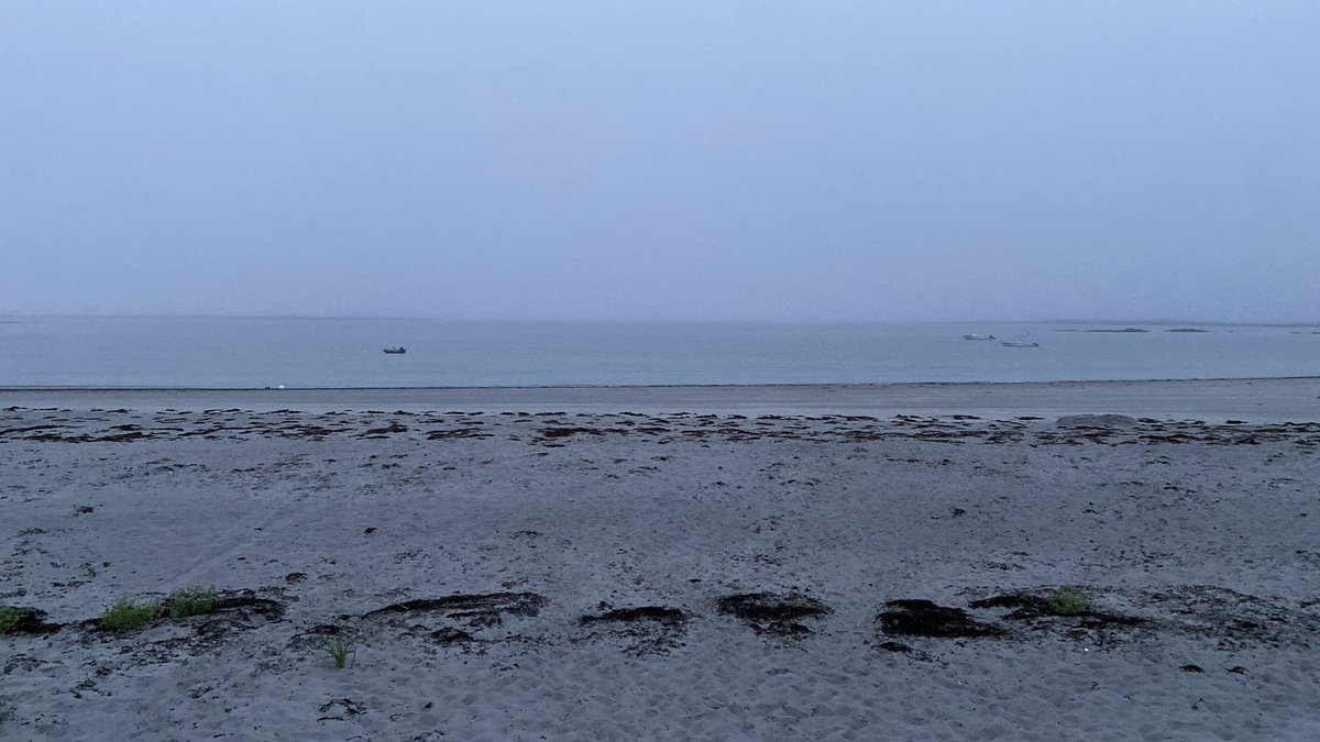 krobertson245's tweet photo. Hello Maine 🌊 #GooseRocksBeach https://t.co/RLSWa3591Y