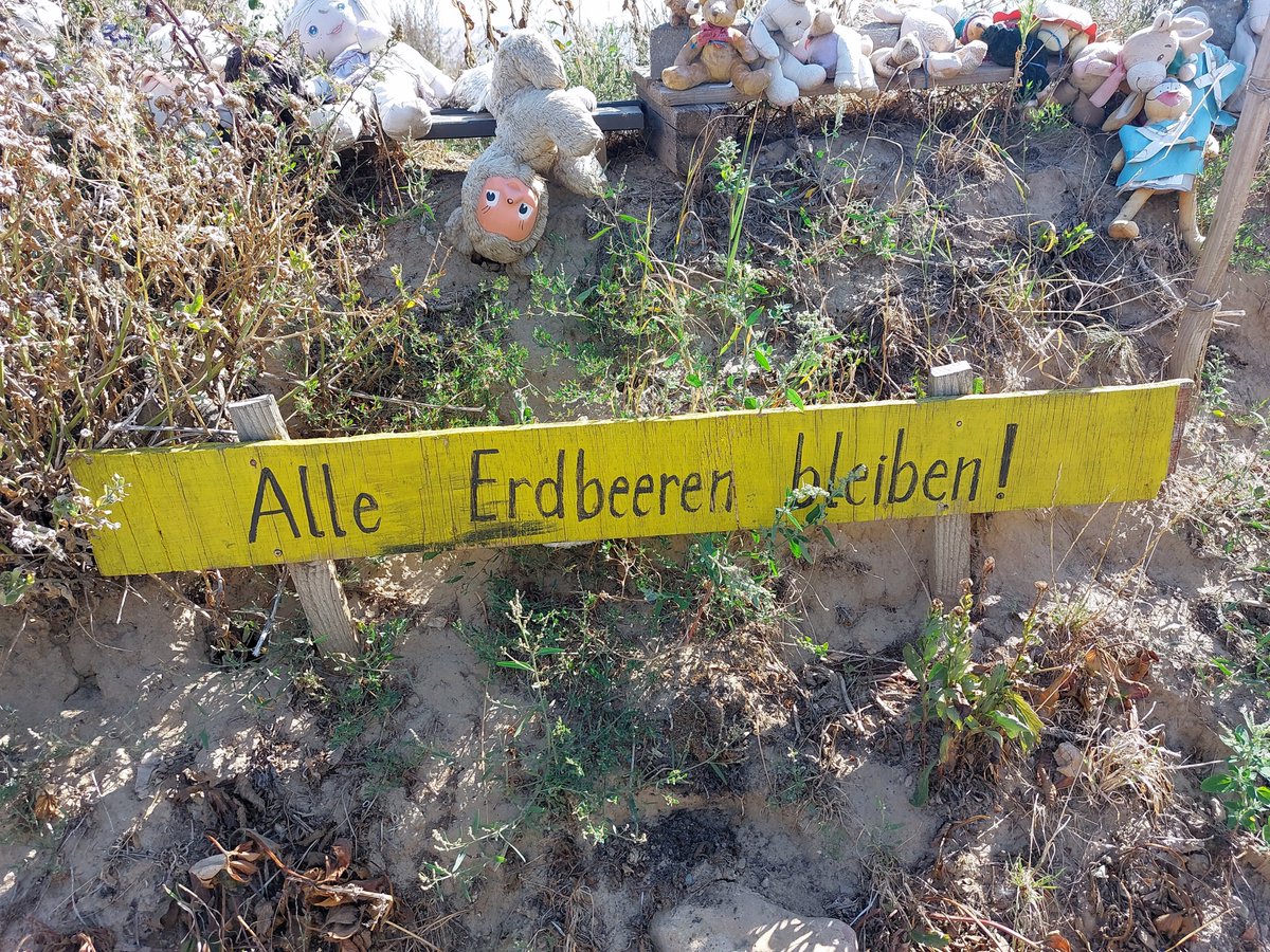 grenzgaenge's tweet photo. #Garzweiler #FUCKRWE #tagebauhambach
#fuckfossilfuels #fuckfossil #fuckshell
#lastgeneration #endegelände #extensionrebellion #fridaysforfuture
#alledörferbleiben https://t.co/WstrltDCaX