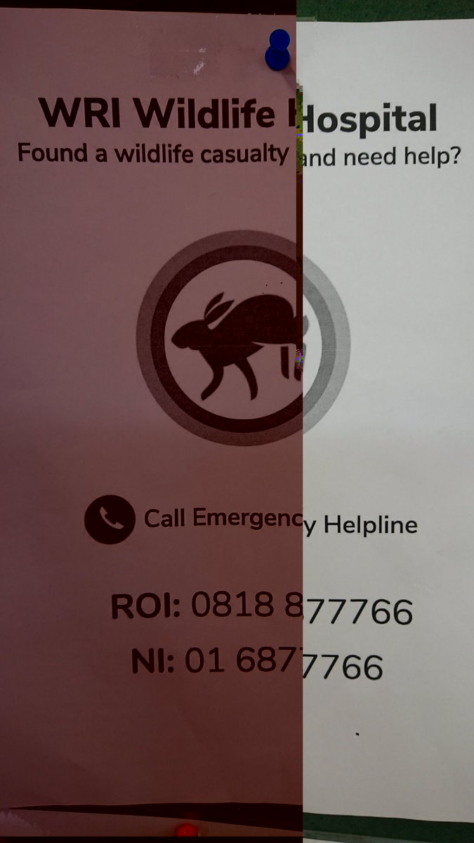 TTOFDWTN 🌋 tweet media