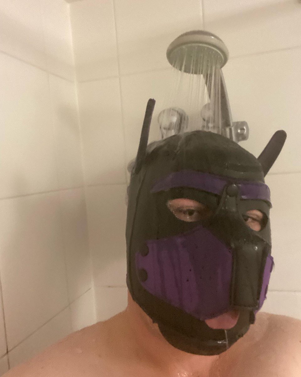 pookey_pup's tweet photo. Puppy shower time. I iz all cleanz nowz. #pup #humanpup #puphood #shower #showerpuppy #showertime #cleanpup #cleanpuppy #aroooo https://t.co/47HIQQSfgK