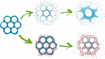 dr_kuato's tweet photo. New paper! Great work by @aanyula and @BindiniElisa  Collaboration with S Moya and P Andreozzi @CICbiomaGUNE H Amenitsch @elettrasincro @tugraz M G Ortore and P Moretti @UnivPoliMarche.

Structural evolution of meso-silica NP in body fluids

In press

https://t.co/2Zet7qE1yS https://t.co/ETOOjcEjX5