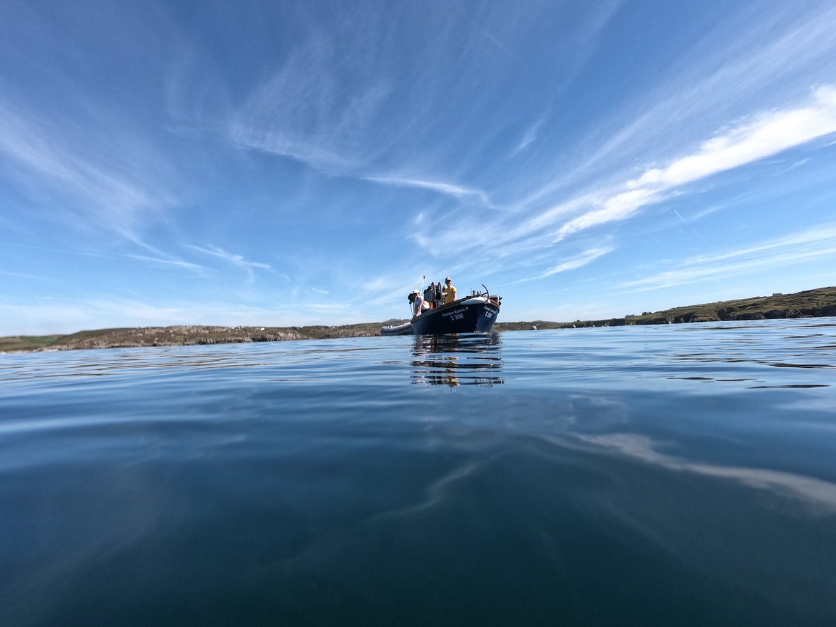 Tallulah Davey (@tallulahdavey) on Twitter photo Feeling lucky for the beauutiful conditions we’ve had the past few weeks for our fieldwork on kelp farms and kelp forests around the Irish coast 🌱🧬🪸🐟🌞 Went swimmingly thanks to the #Beyondbiofuel dream team! <a href="/BotanyBenson/">Simon Benson</a> <a href="/nessocon/">Nessa O'Connor</a> <a href="/TCDZoology/">Zoology, Trinity College Dublin</a> <a href="/BantryMarineRS/">Bantry Marine Research Station Ltd (BMRS)</a> Feeling lucky for the beauutiful conditions we’ve had the past few weeks for our fieldwork on kelp farms and kelp forests around the Irish coast 🌱🧬🪸🐟🌞 Went swimmingly thanks to the #Beyondbiofuel dream team! <a href="/BotanyBenson/">Simon Benson</a> <a href="/nessocon/">Nessa O'Connor</a> <a href="/TCDZoology/">Zoology, Trinity College Dublin</a> <a href="/BantryMarineRS/">Bantry Marine Research Station Ltd (BMRS)</a>