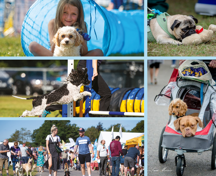 TheGoodDogGuide's tweet photo. Book your @PawsinthePark1 #Kent 2022 show ticket online now &amp; #save. Packed with exciting displays, activities, competitions, superb shopping &amp; weekend camping. #Dogfriendly #familyfriendly entertainment, making a pawfect day out! https://t.co/TJQ5JXOcGk https://t.co/jpN1xWrtwV