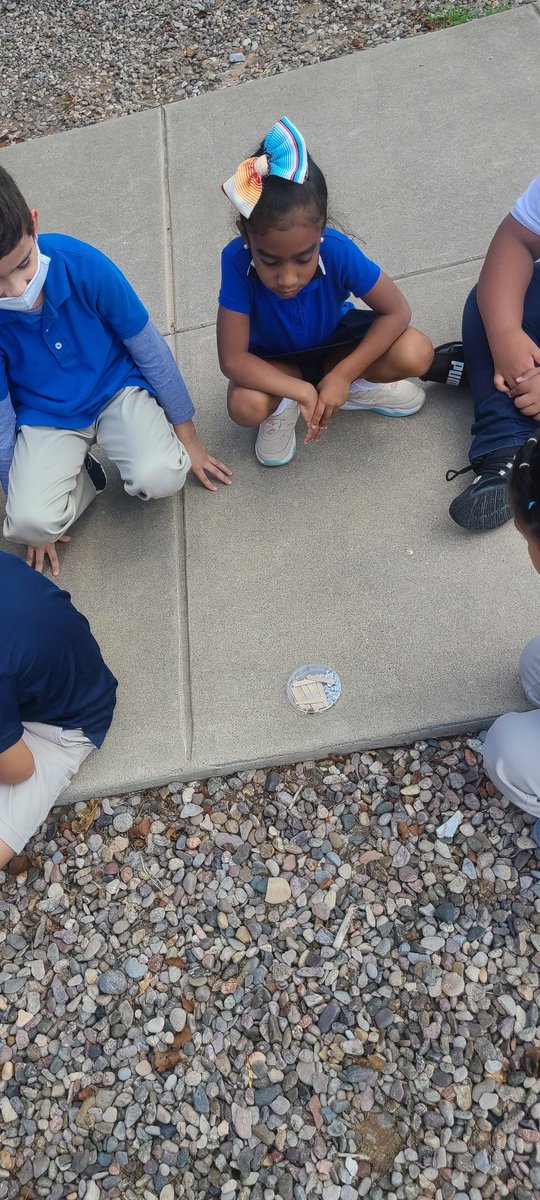 PLicon_EES's tweet photo. Testing our solar ovens that our little engineers built. #fullSTEAMahead #TeamSISD https://t.co/ohnTzJT9bT