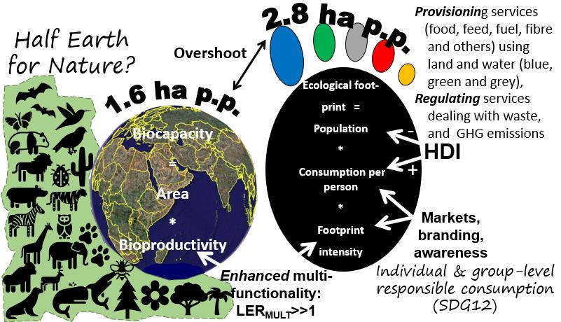 CarbonFootpri17's tweet photo. 📌Title: #CarbonFootprints, informed #consumer decisions and shifts towards responsible #agriculture, forestry, and other #landUses?

Read online: https://t.co/FvtJaN71aZ
PDF: https://t.co/up1NRHdHSR

🥰Author: @meine_vn 

🏫Institution: 
@WUR https://t.co/CxAgiHrksN