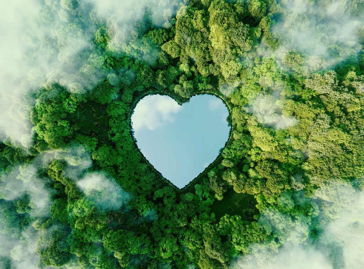 nookaspace's tweet photo. 💚The future is now! Taking action towards sustainability can no longer be postponed. Read the full article below: https://t.co/pQkEpZCvXV

#sustainability #futureofwork #DigitalTransformation https://t.co/fxNDsMO1Wz