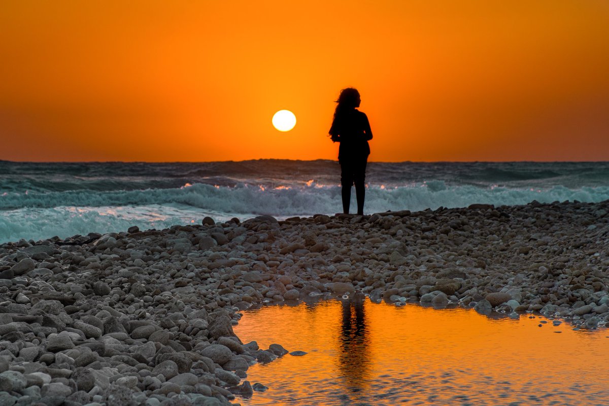 SaraAbdollahi.ETH 📸 NFT. NYC 2024 tweet media