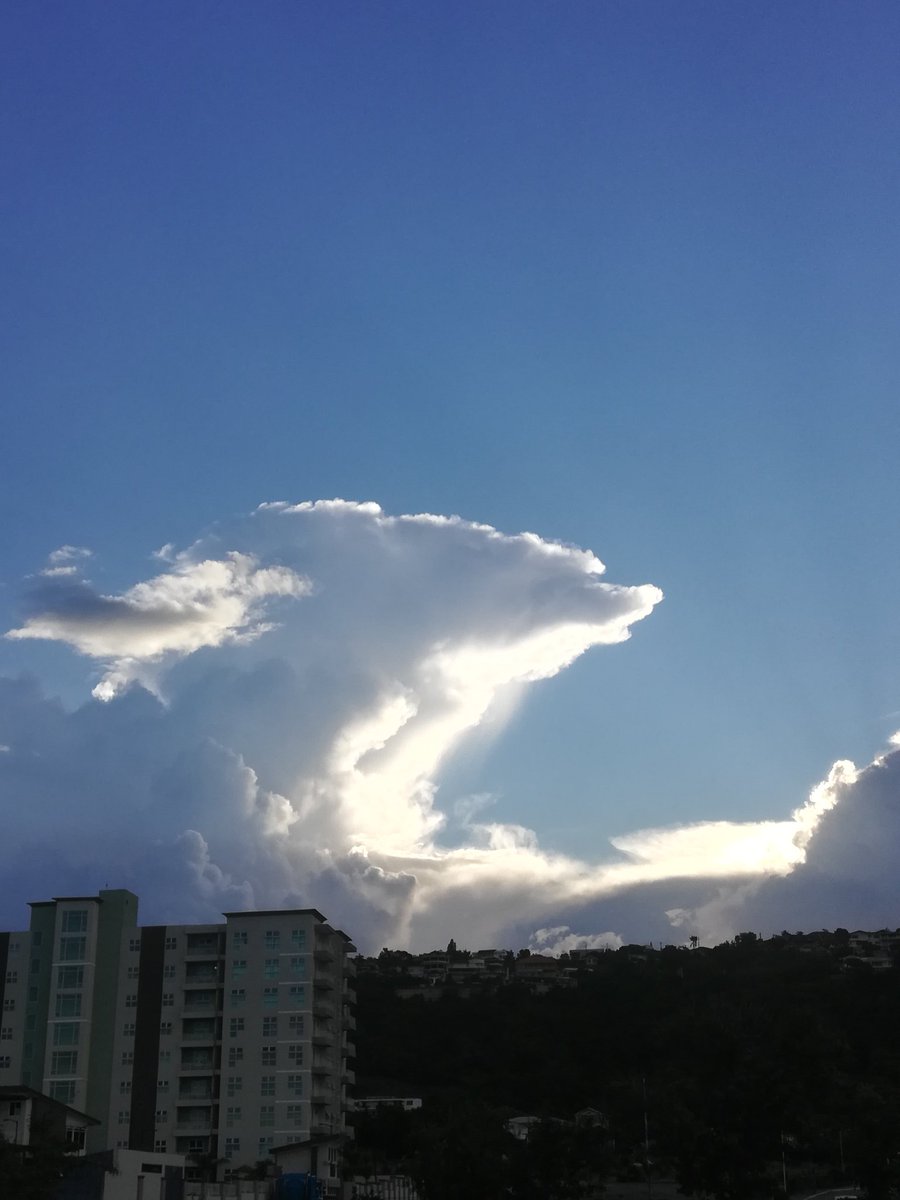 C_D_Driving's tweet photo. Anyone else sees the dog head? Clouds can create such wonderful images of almost everything. You just have to be lucky enough to see it when it does. Especially when the sun rays hits at certain point of sunrise ☀️ and sunset 🌅 https://t.co/HFtoXg7FVF