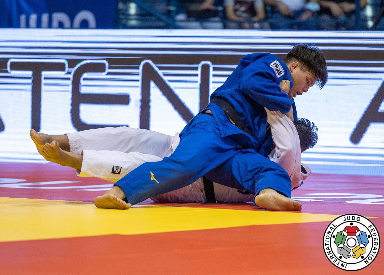 早稲田大学柔道部 Waseda Judo Twitter