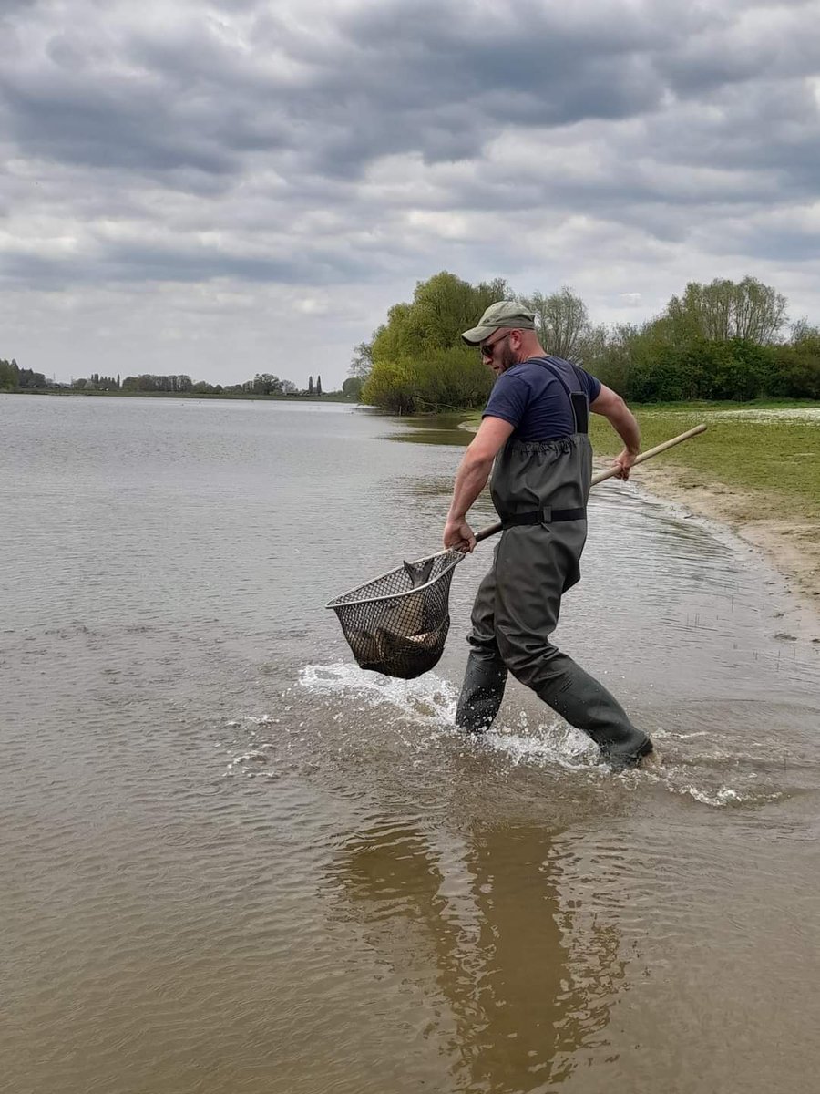 Dringende oproep: ga niet op eigen initiatief vissen in nood overzetten! Lees op onze website wat de risico's zijn bit.ly/3cc8J1r
<a href="/WDODelta/">Waterschap Drents Overijsselse Delta</a> <a href="/Vechtstromen/">Vechtstromen</a> <a href="/ValleienVeluwe/">Waterschap Vallei en Veluwe</a>