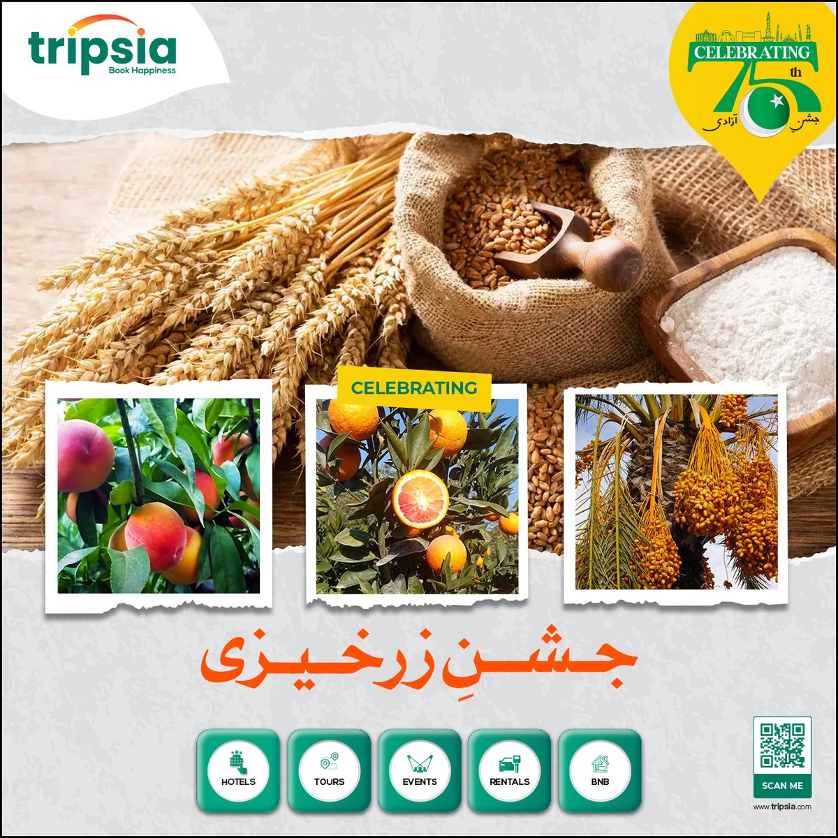 TripsiaOfficial's tweet photo. Celebrating The fertile soil of green &amp; white that Gives birth to treasures of all kinds

#travel #nature #bookhappiness #pakistan #peacefulpakistan #travelpakistan #travelandlife #travelblogger #wanderlust #beautifulpakistan #adventure #travelvlogger #landscape #summer #spring https://t.co/Rx1xXbCON6