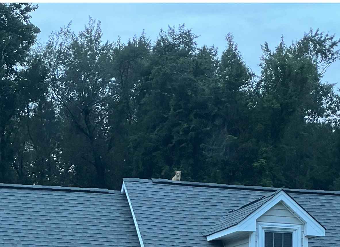 whateverTracEy tweet media